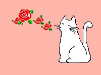 oƂ˂